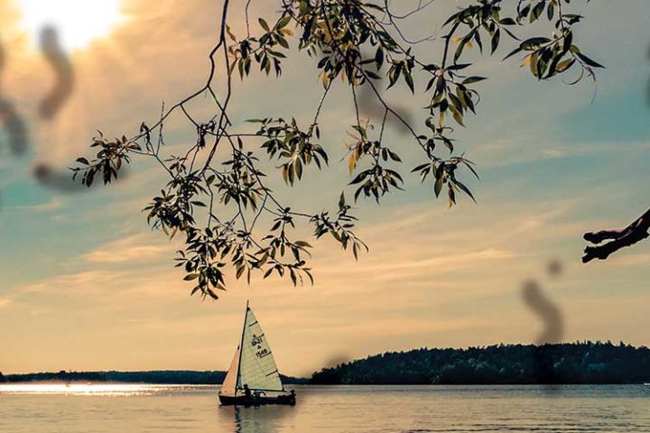 moscas flotantes miodesopsias